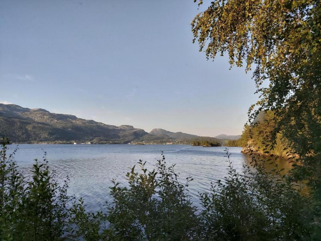 Teigen Leirstad, Feriehus Og Hytter Eikefjord Dış mekan fotoğraf